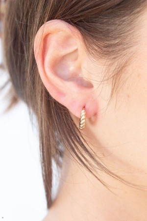 Gold Brandy Melville Rope Earrings | USA 42358-BMGY