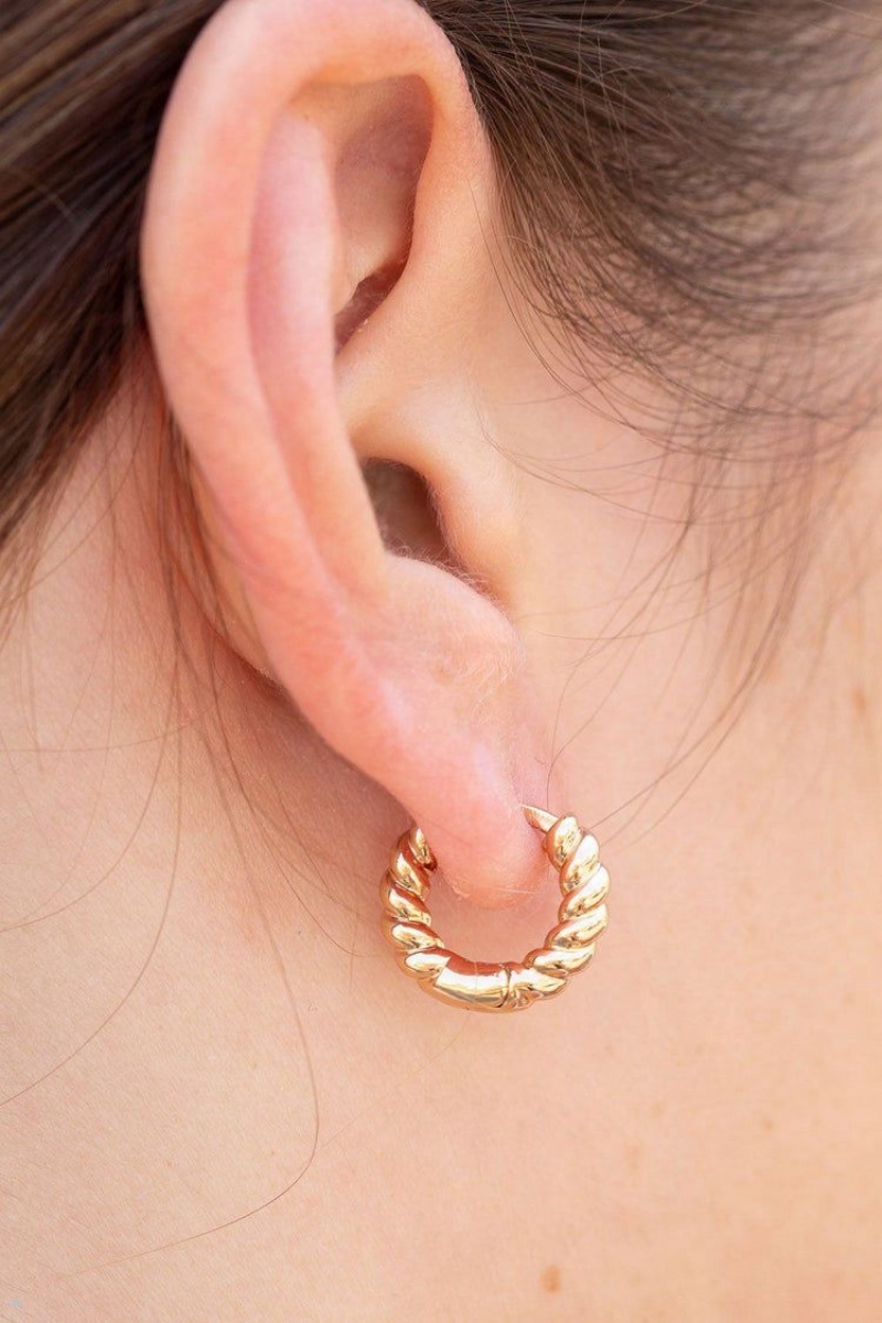 Gold Brandy Melville Rope Earrings | USA 42358-BMGY